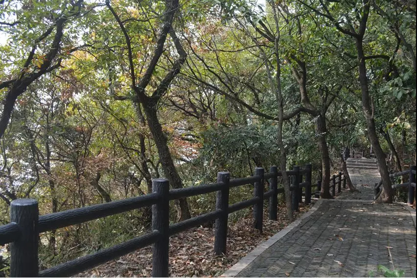 冬日里，你要去光福走走的几个理由