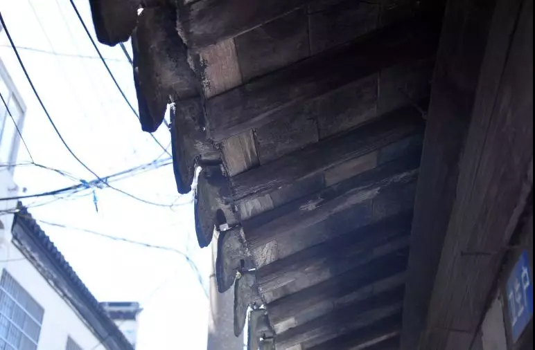 冬日里，你要去光福走走的几个理由