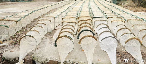 苏州太湖这座原生态小岛，是你向往的世外桃源…
