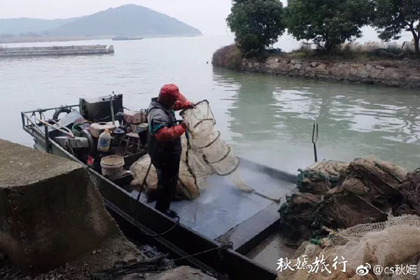 苏州太湖这座原生态小岛，是你向往的世外桃源…