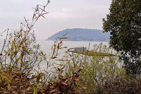 苏州太湖这座原生态小岛，是你向往的世外桃源…