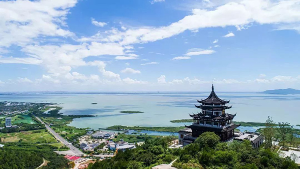 繁花似锦寻春迹，约吗？