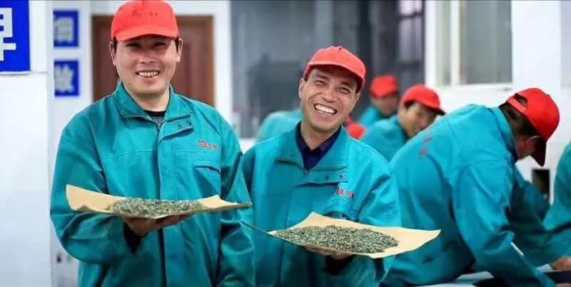 阳春三月去哪里？“都挺好”明玉带你去喝茶，约吗！