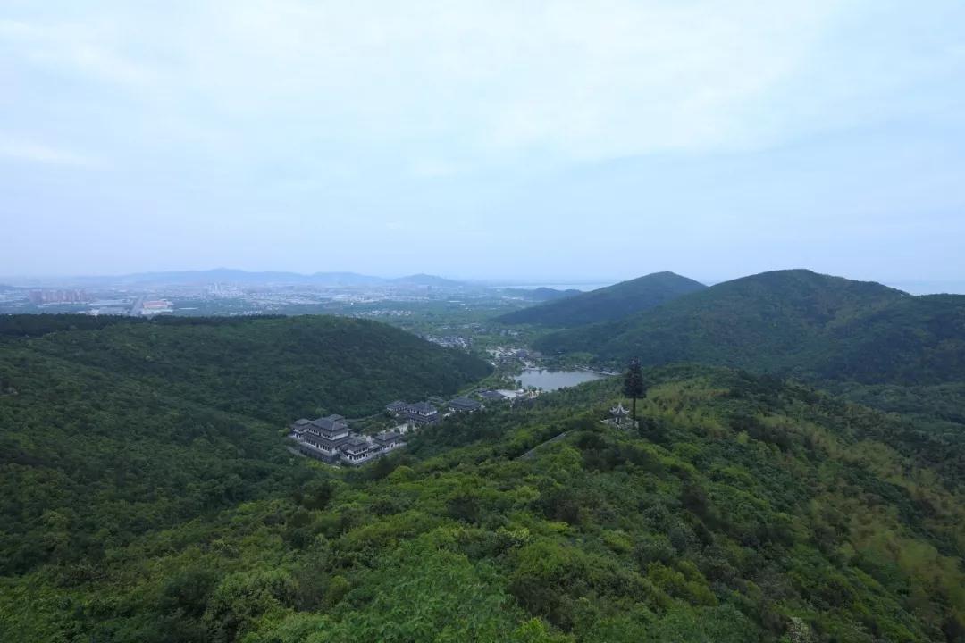 吃完这碗乌米饭，就可以拥抱夏天了！