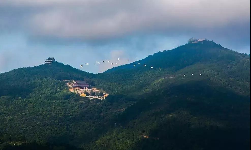 吃完这碗乌米饭，就可以拥抱夏天了！