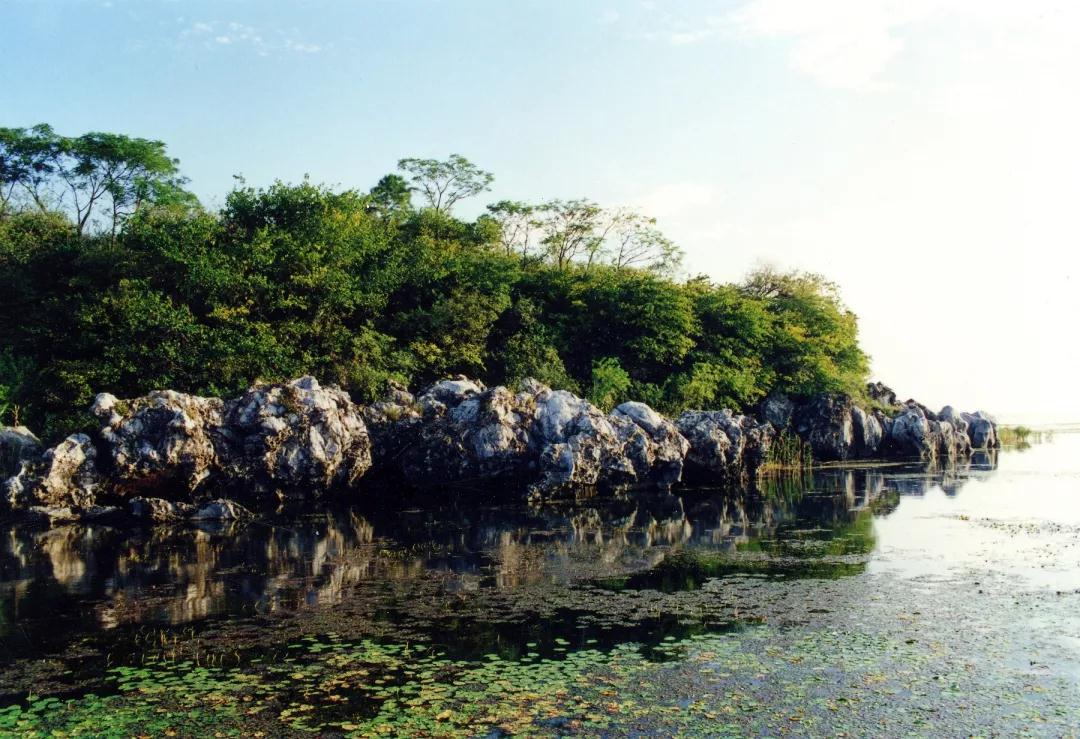 信步古村，呼吸森林，夏日东山之旅等你来寻！