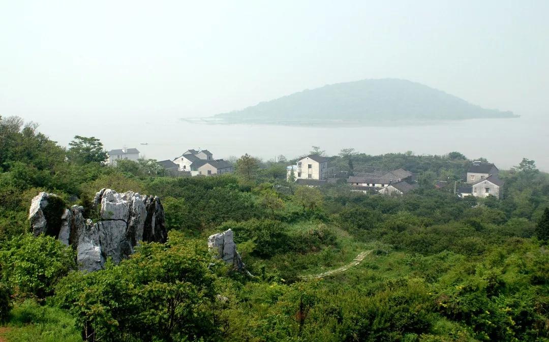 信步古村，呼吸森林，夏日东山之旅等你来寻！