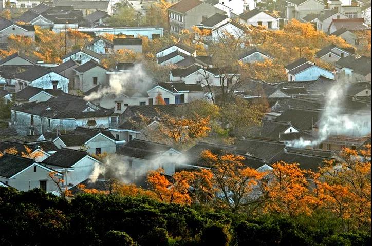 诗意栖居 | 于太湖里的温情小院，触碰闲适时光