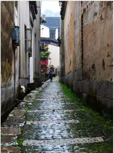 烟笼江南，水浸春色