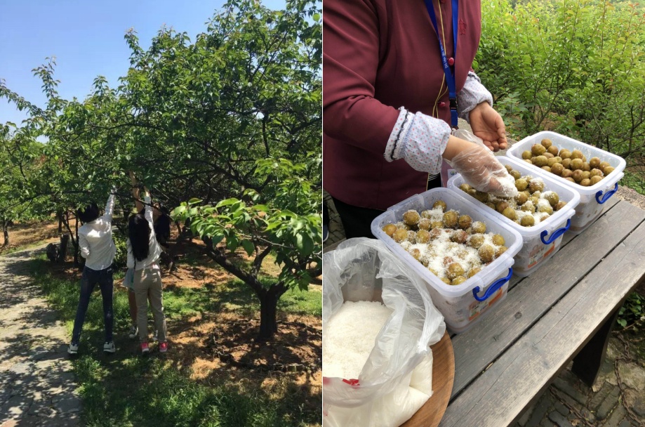 赏美景、品美食、住美宿，“五一”假期寻梦吴中山水间！