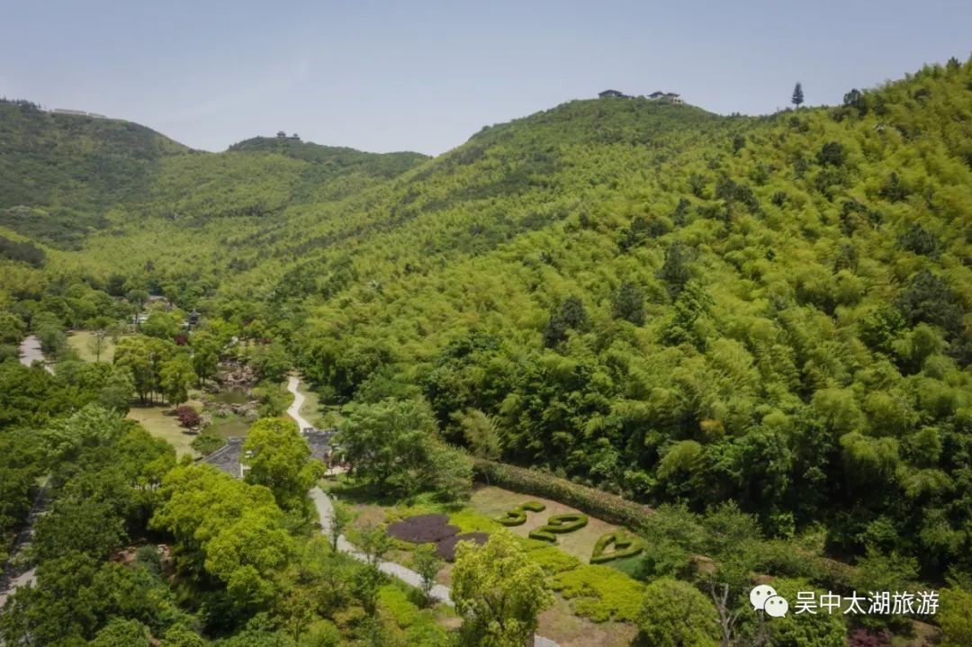 初夏一碗乌米饭，人间有味是清欢