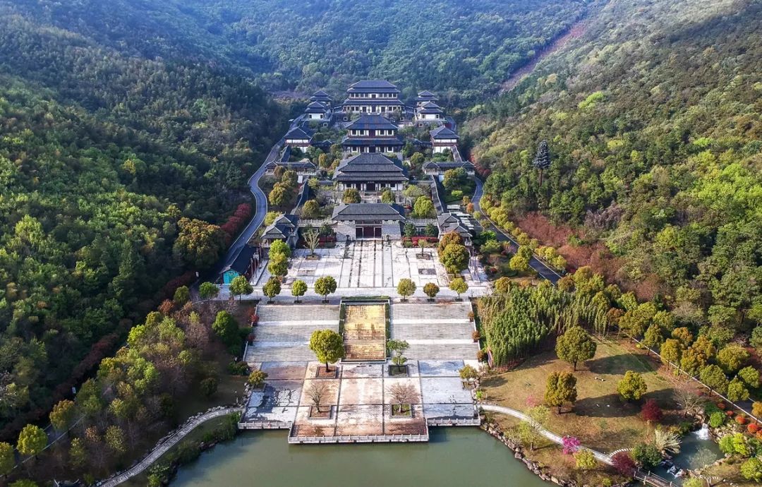 初夏一碗乌米饭，人间有味是清欢