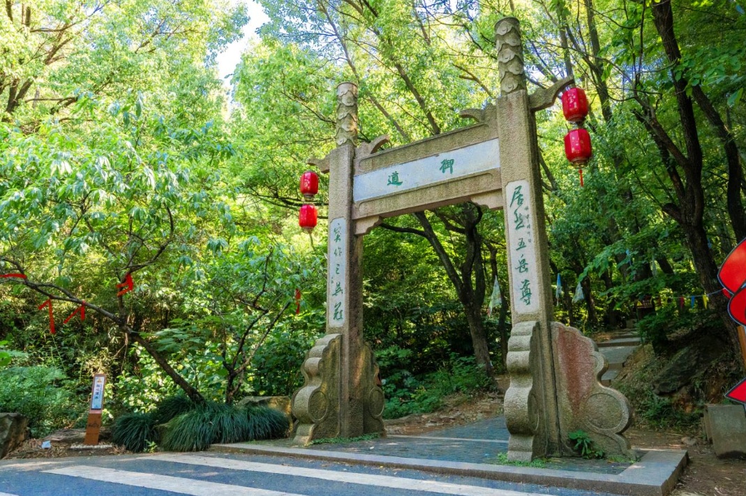 初夏一碗乌米饭，人间有味是清欢