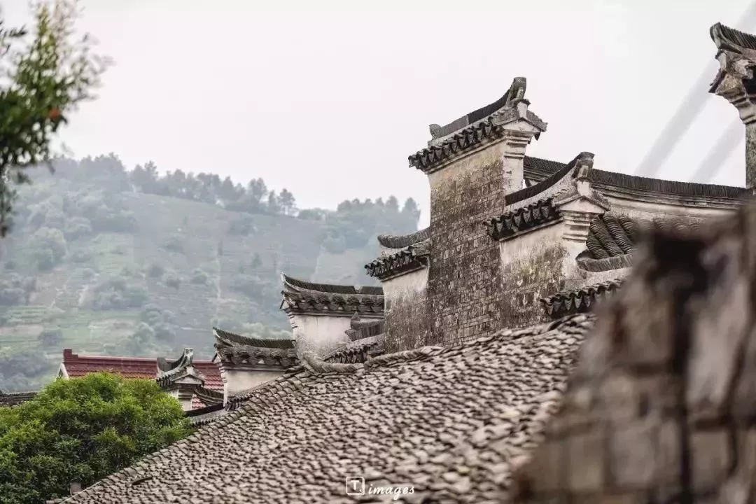 姑苏八点半，在太湖边你能做什么？