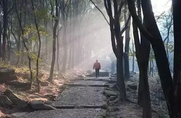 六月来花山，这份活动安排表请收好！