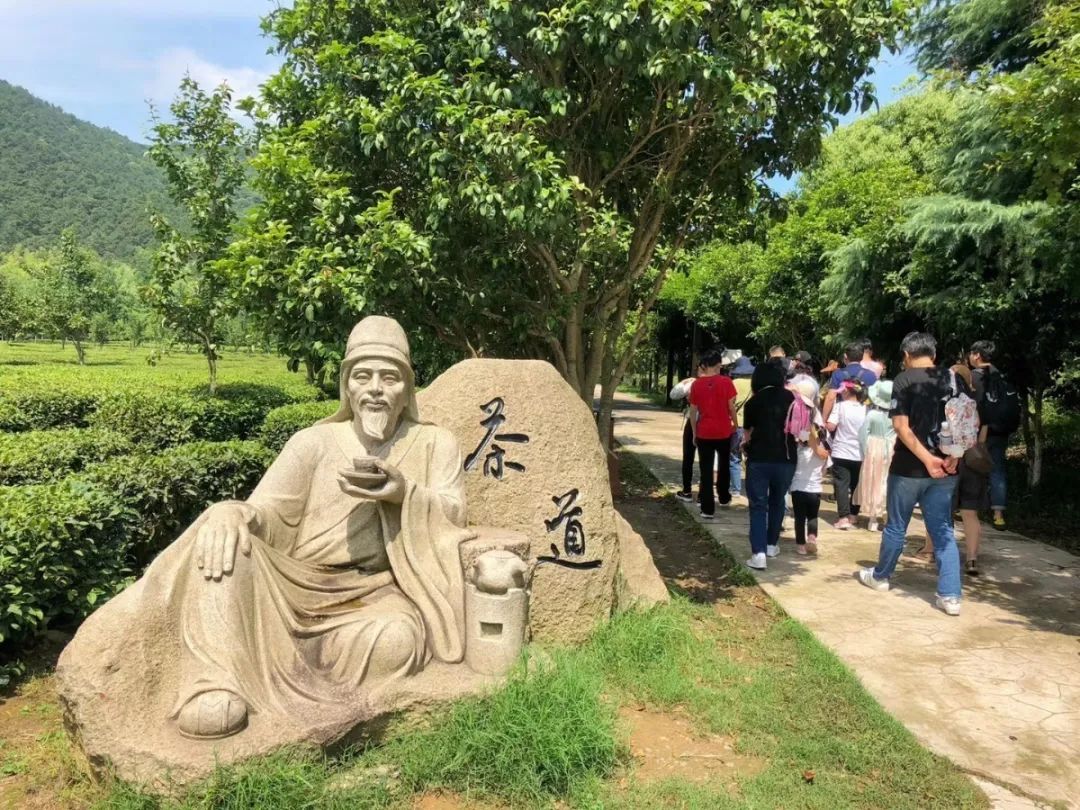 活动回顾丨在旺山遇见夏日的美好！