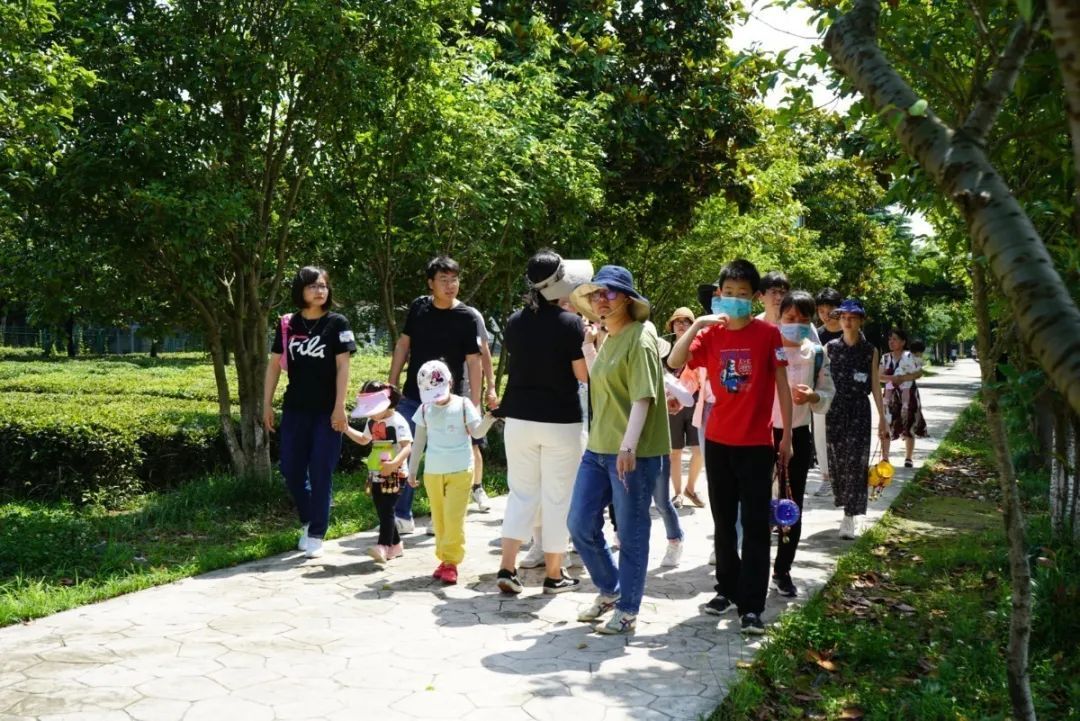 活动回顾丨在旺山遇见夏日的美好！