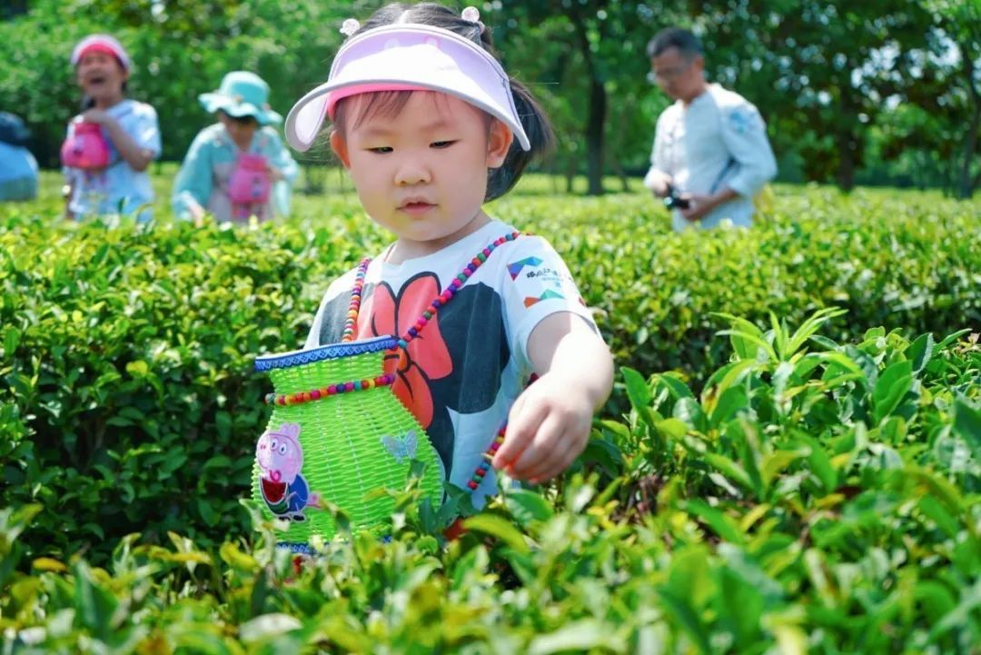 活动回顾丨在旺山遇见夏日的美好！