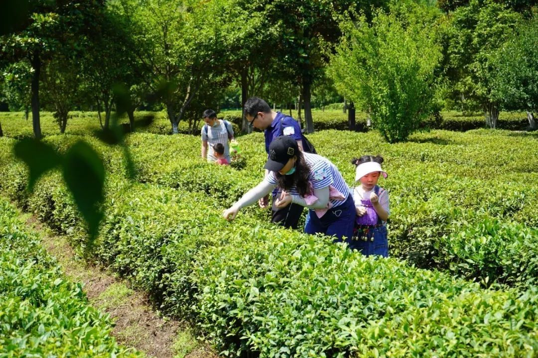 活动回顾丨在旺山遇见夏日的美好！