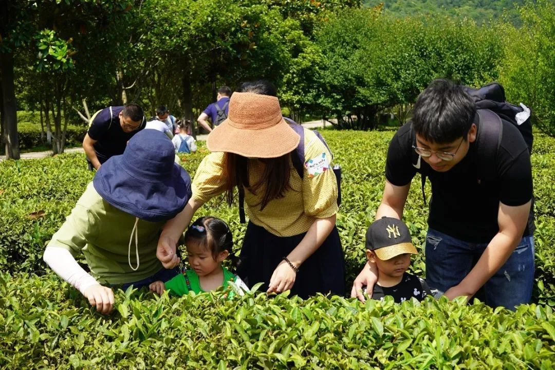 活动回顾丨在旺山遇见夏日的美好！