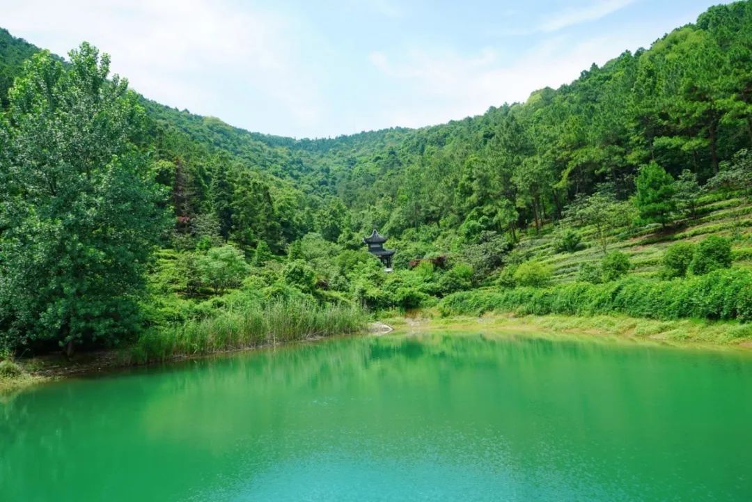 活动回顾丨在旺山遇见夏日的美好！