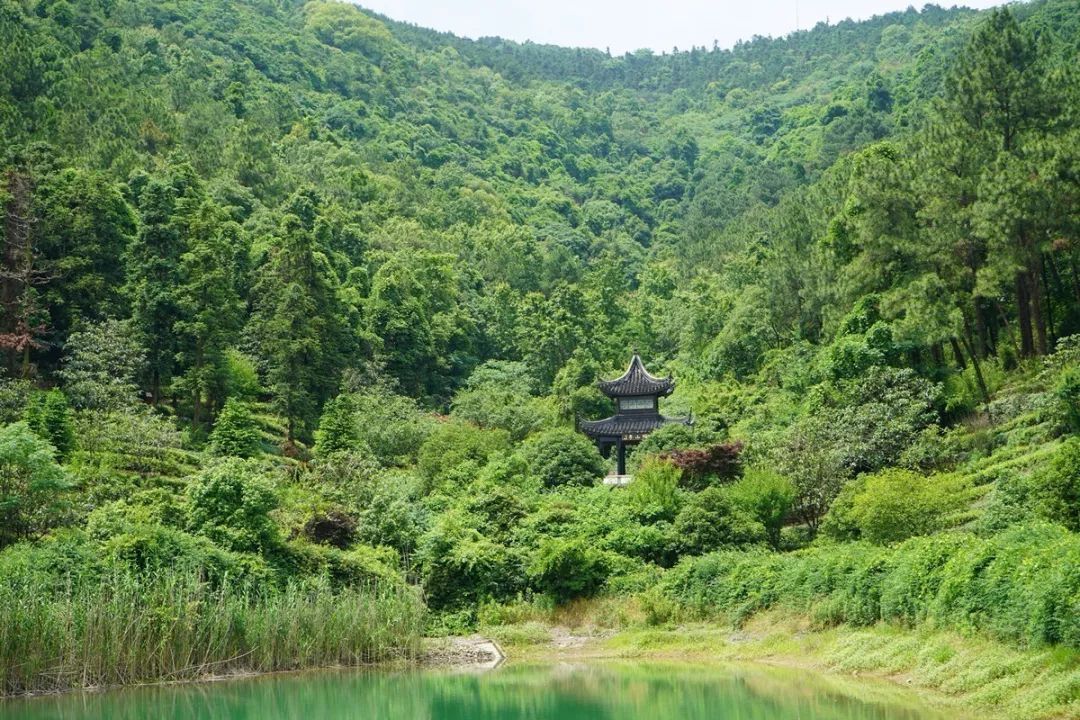 活动回顾丨在旺山遇见夏日的美好！