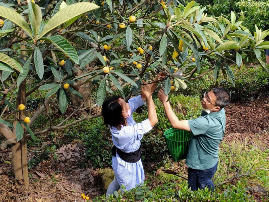 诗意栖居丨原来“樱桃”不只能吃，还能住！