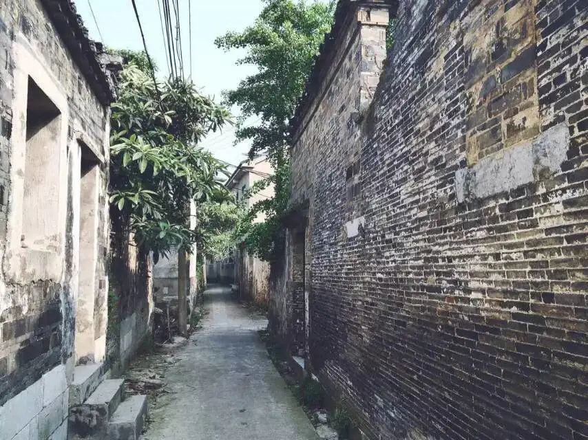 心往古村，探幽植里