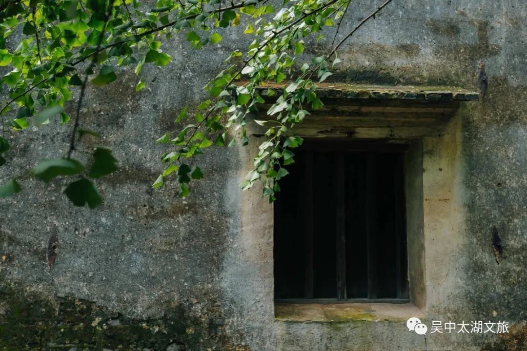 有一种夏天叫“躲”进百年村落