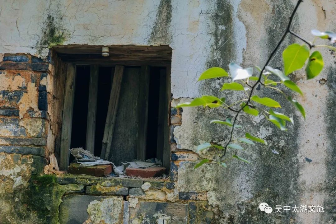 有一种夏天叫“躲”进百年村落