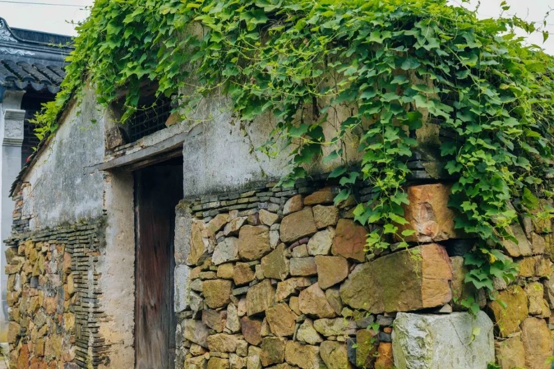 有一种夏天叫“躲”进百年村落