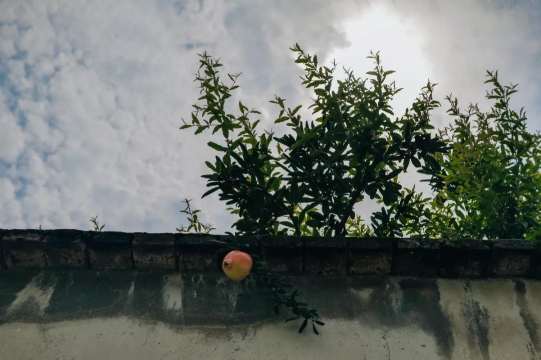 有一种夏天叫“躲”进百年村落