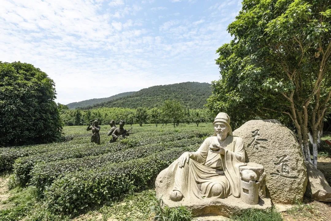 乘风破浪的少年们，吴中等你来