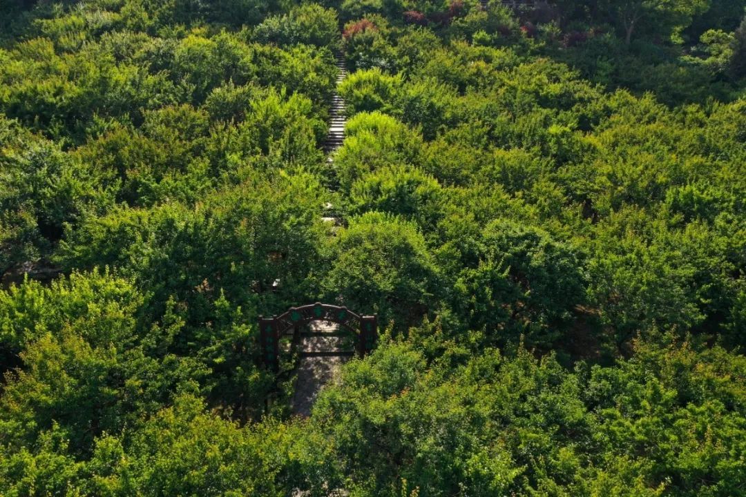 全域旅游丨在吴中，开启你的夏日文艺之旅