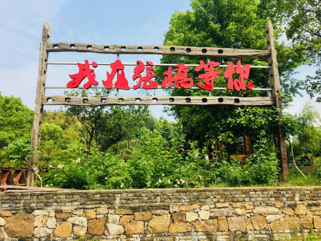 全域旅游丨在吴中，开启你的夏日文艺之旅