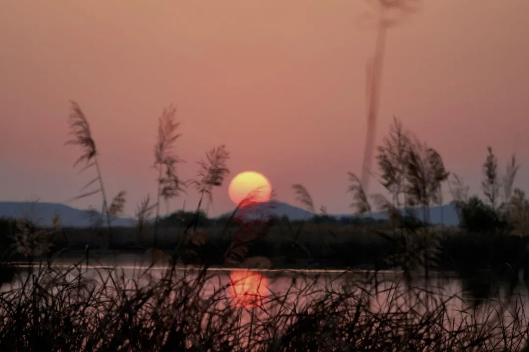 湿地如画，山水如歌