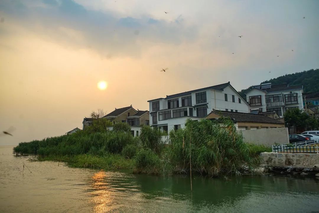 太湖中的小众岛屿，你都去过吗？