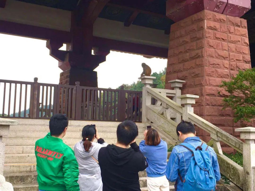 穹窿山景区惊现“大圣”，逍遥快活来巡山