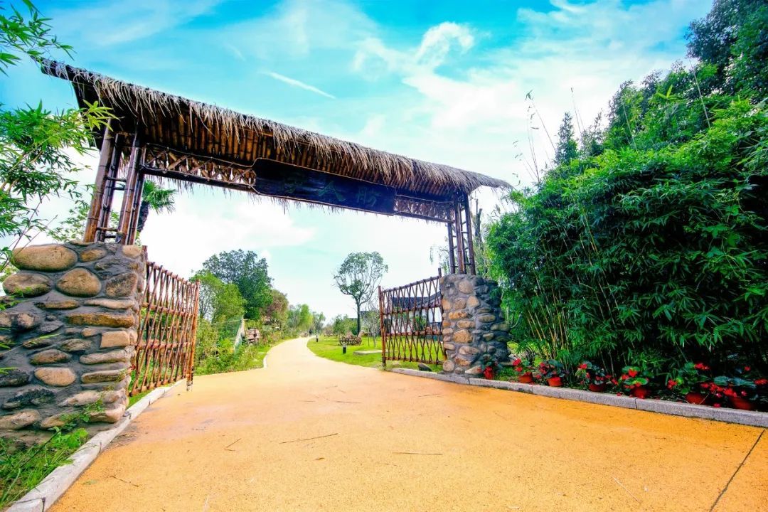 官方认证的星级旅游民宿，你都住过吗？