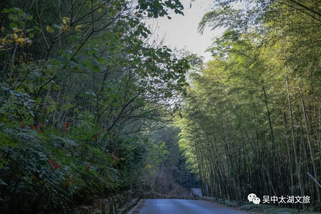 离尘不离城，这里有你向“旺”的生活