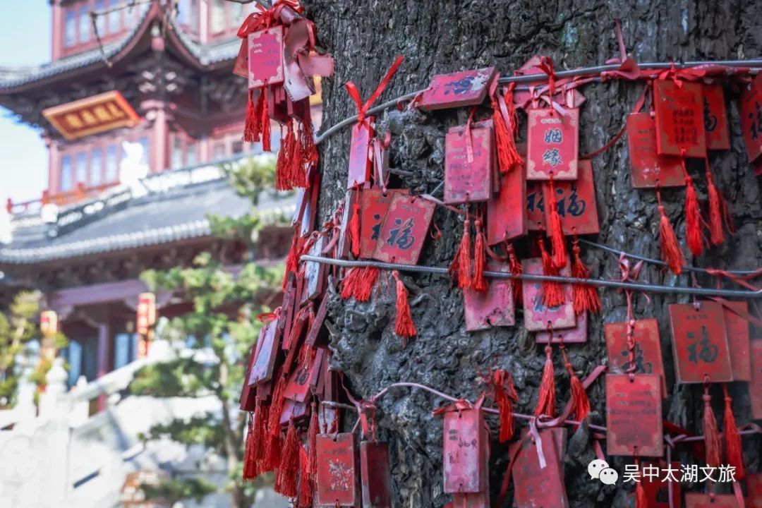 离尘不离城，这里有你向“旺”的生活