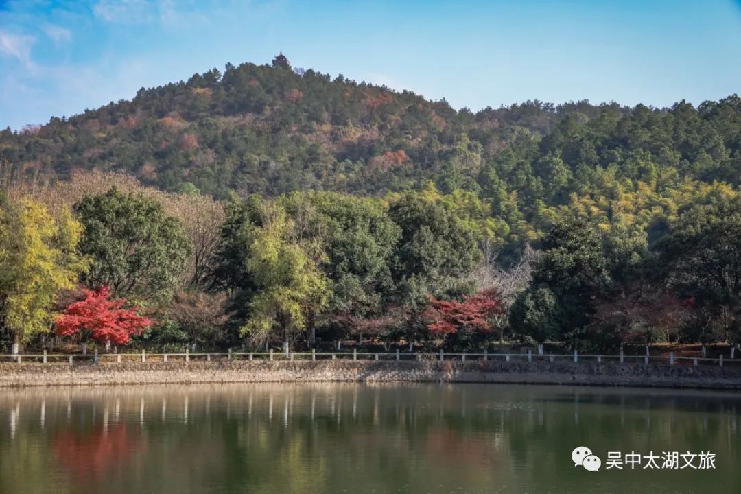 离尘不离城，这里有你向“旺”的生活