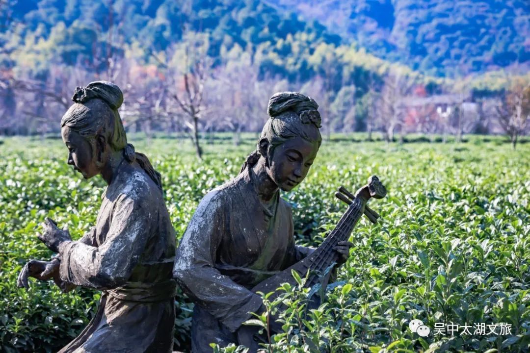 离尘不离城，这里有你向“旺”的生活