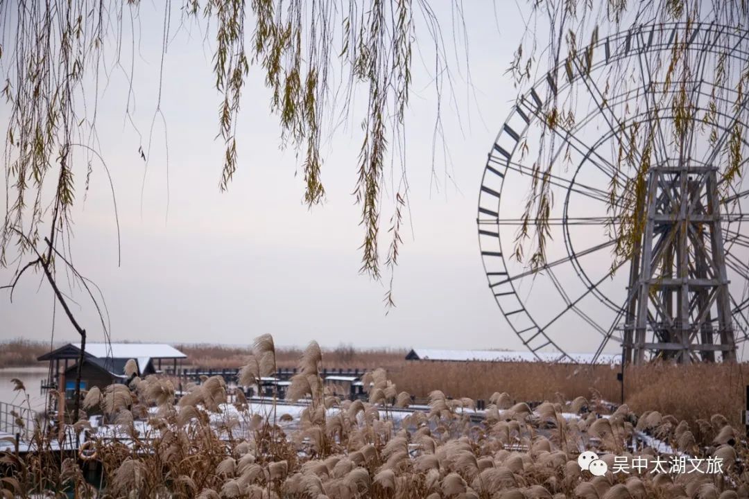 冬游吴中丨跟着这3条线路，赴一场山水之约！