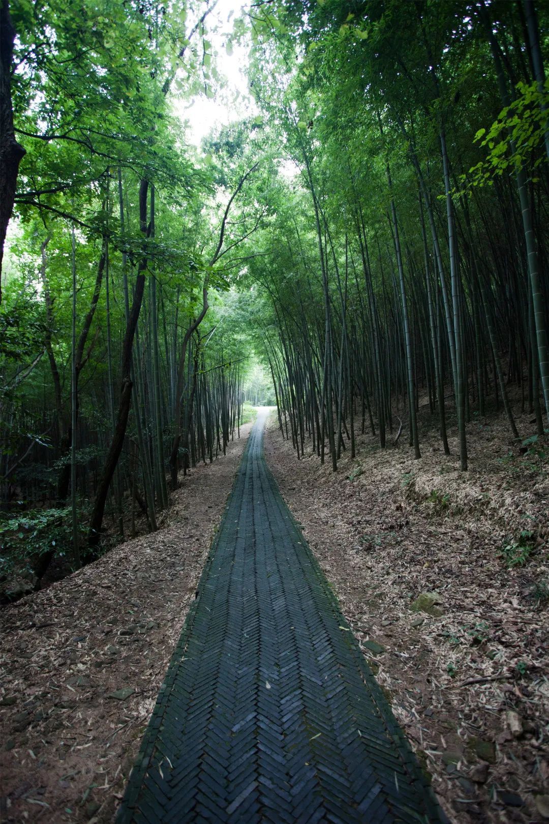 打卡穹窿山，冬日韵味尽在其中