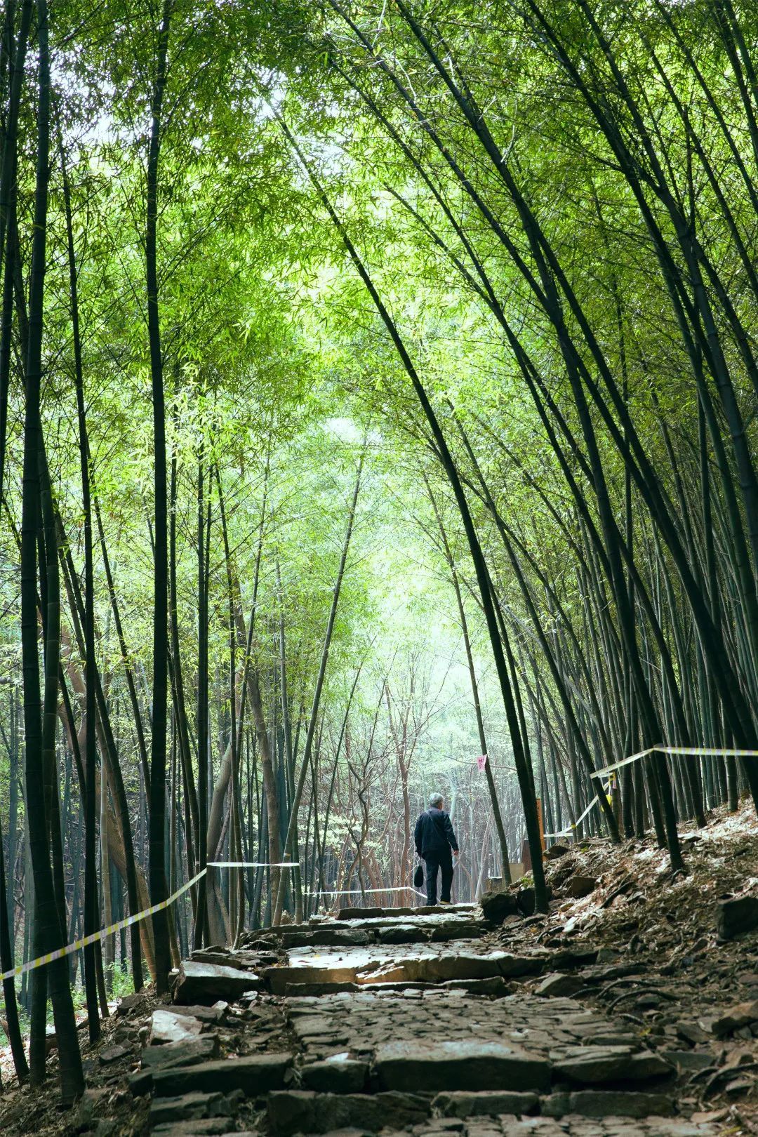 打卡穹窿山，冬日韵味尽在其中