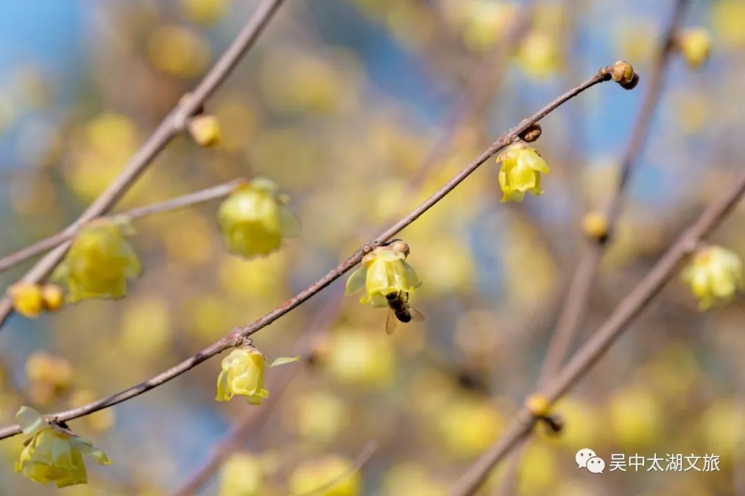 腊八遇大寒，万事“粥”全！