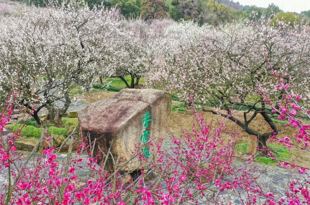 春暖花开，一起去看“花花世界”！