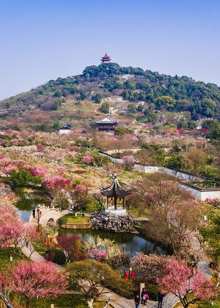 春暖花开，一起去看“花花世界”！