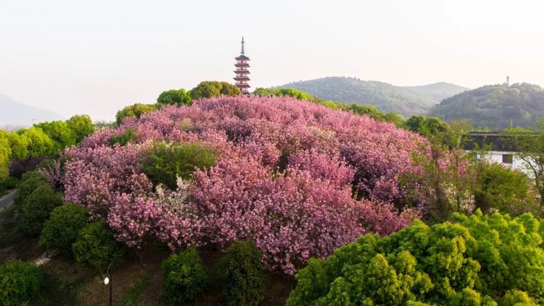 春暖花开，一起去看“花花世界”！